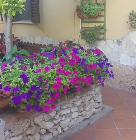 Bed & Breakfast Girasole *