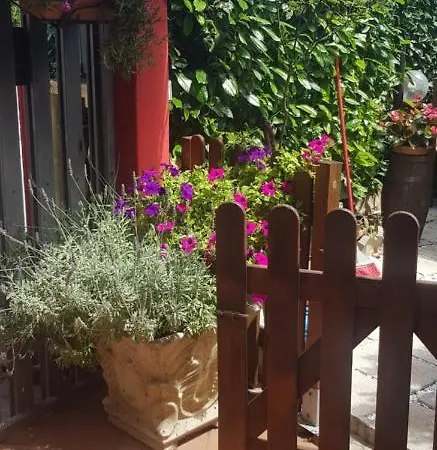 Girasole Bed & Breakfast Colleferro