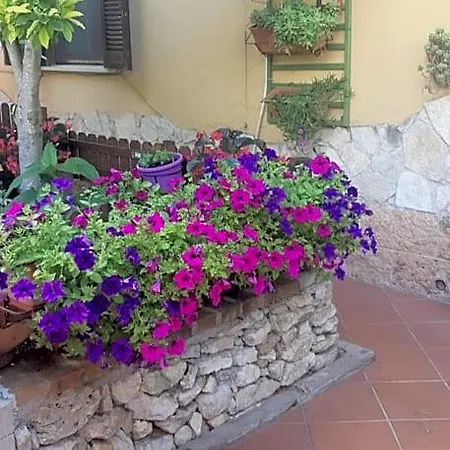 Panzió Girasole 3*